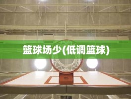 篮球场少(低调篮球)