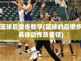 篮球后撤步教学(篮球的后撤步具体动作及要领)