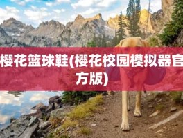 樱花篮球鞋(樱花校园模拟器官方版)