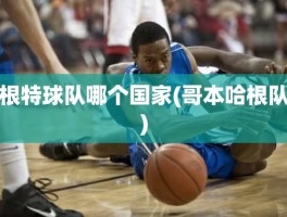 根特球队哪个国家(哥本哈根队)