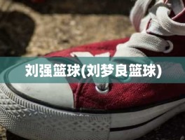 刘强篮球(刘梦良篮球)