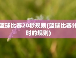 篮球比赛20秒规则(篮球比赛计时的规则)