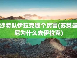 沙特队伊拉克哪个厉害(苏莱曼尼为什么去伊拉克)