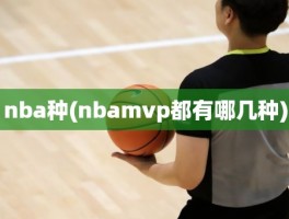 nba种(nbamvp都有哪几种)