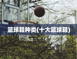 篮球鞋种类(十大篮球鞋)
