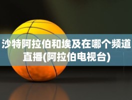 沙特阿拉伯和埃及在哪个频道直播(阿拉伯电视台)