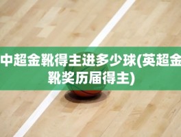 中超金靴得主进多少球(英超金靴奖历届得主)