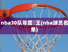 nba30队年度囧王(nba球员名单)