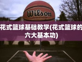 花式篮球基础教学(花式篮球的六大基本功)