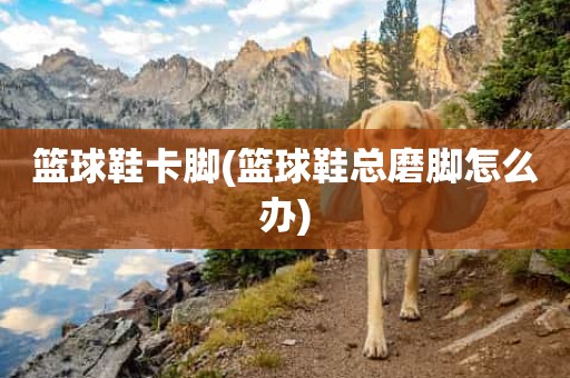 篮球鞋卡脚(篮球鞋总磨脚怎么办) 篮球鞋卡脚(篮球鞋总磨脚怎么办)