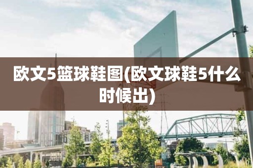 欧文5篮球鞋图(欧文球鞋5什么时候出) 欧文5篮球鞋图(欧文球鞋5什么时候出)