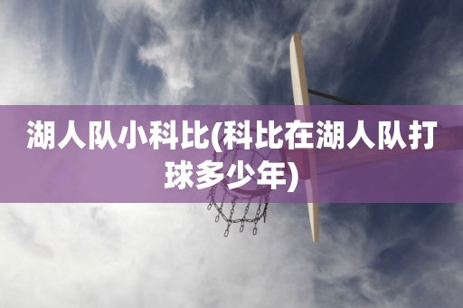 湖人队小科比(科比在湖人队打球多少年) 湖人队小科比(科比在湖人队打球多少年)