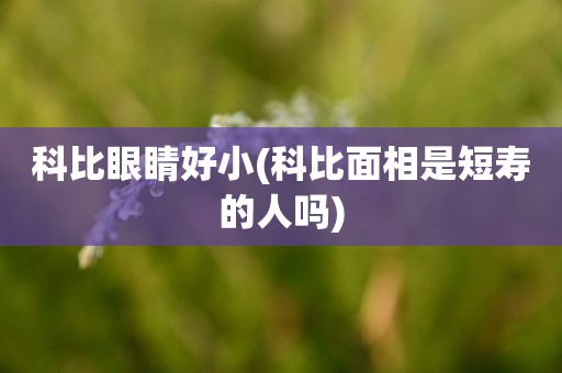 科比眼睛好小(科比面相是短寿的人吗) 科比眼睛好小(科比面相是短寿的人吗)