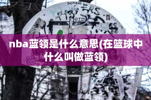 nba蓝领是什么意思(在篮球中什么叫做蓝领) nba蓝领是什么意思(在篮球中什么叫做蓝领)