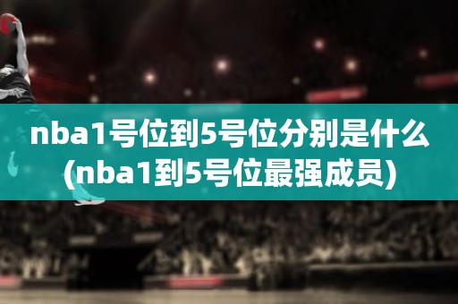 nba1号位到5号位分别是什么(nba1到5号位最强成员) nba1号位到5号位分别是什么(nba1到5号位最强成员)