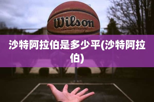 沙特阿拉伯是多少平(沙特阿拉伯) 沙特阿拉伯是多少平(沙特阿拉伯)