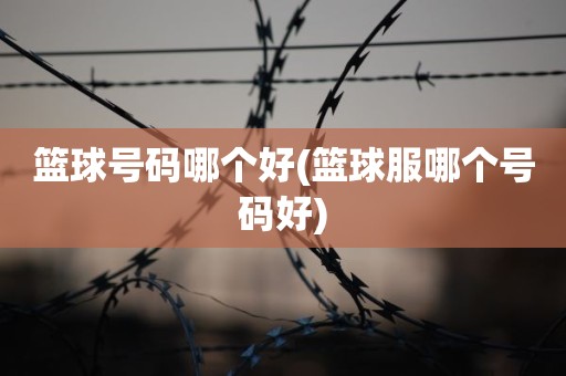 篮球号码哪个好(篮球服哪个号码好) 篮球号码哪个好(篮球服哪个号码好)