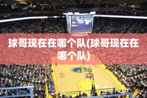 球哥现在在哪个队(球哥现在在哪个队) 球哥现在在哪个队(球哥现在在哪个队)
