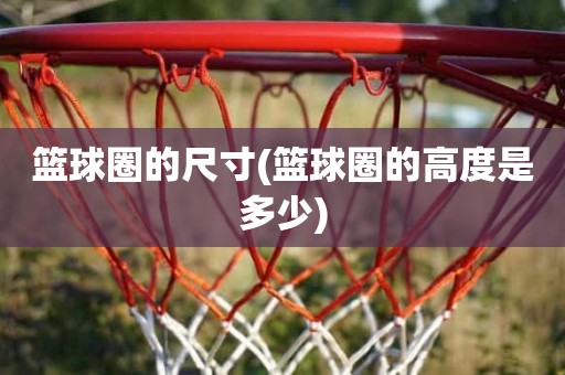 篮球圈的尺寸(篮球圈的高度是多少) 篮球圈的尺寸(篮球圈的高度是多少)