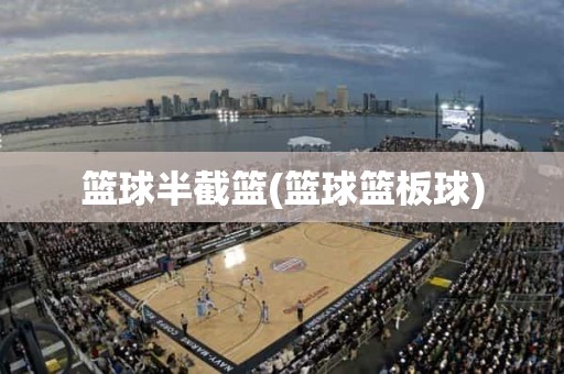 篮球半截篮(篮球篮板球) 篮球半截篮(篮球篮板球)
