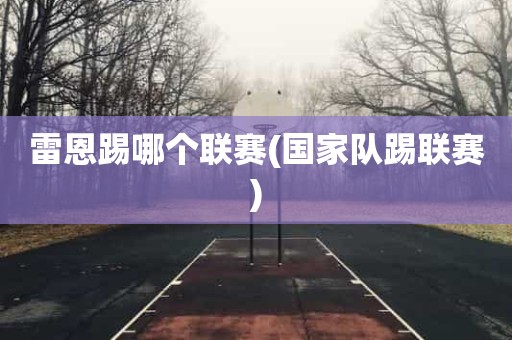 雷恩踢哪个联赛(国家队踢联赛) 雷恩踢哪个联赛(国家队踢联赛)