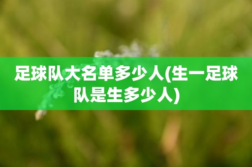 足球队大名单多少人(生一足球队是生多少人) 足球队大名单多少人(生一足球队是生多少人)