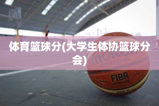 体育篮球分(大学生体协篮球分会) 体育篮球分(大学生体协篮球分会)