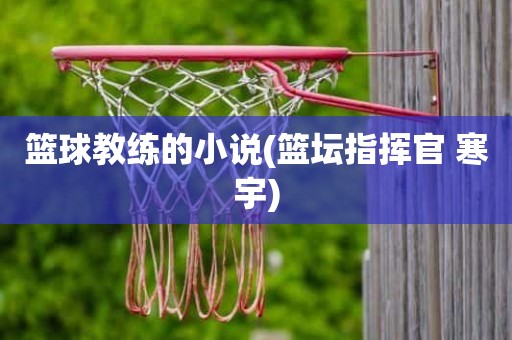 篮球教练的小说(篮坛指挥官 寒宇) 篮球教练的小说(篮坛指挥官 寒宇)