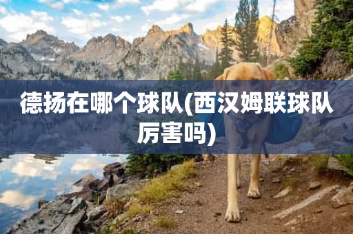 德扬在哪个球队(西汉姆联球队厉害吗) 德扬在哪个球队(西汉姆联球队厉害吗)