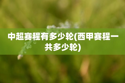 中超赛程有多少轮(西甲赛程一共多少轮) 中超赛程有多少轮(西甲赛程一共多少轮)