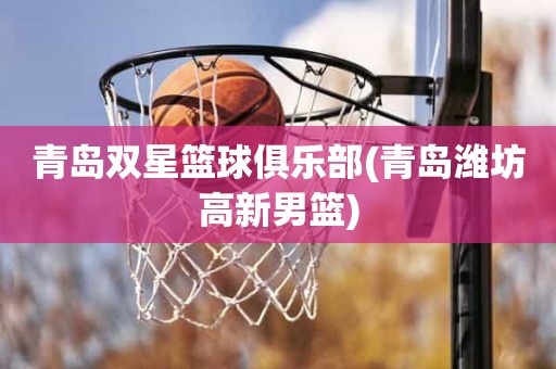 青岛双星篮球俱乐部(青岛潍坊高新男篮) 青岛双星篮球俱乐部(青岛潍坊高新男篮)