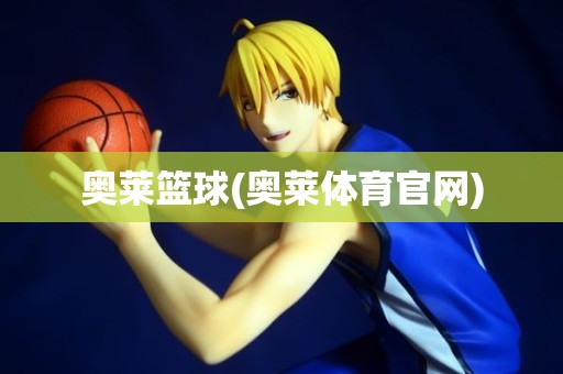 奥莱篮球(奥莱体育官网) 奥莱篮球(奥莱体育官网)