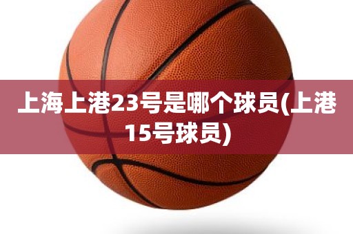 上海上港23号是哪个球员(上港15号球员) 上海上港23号是哪个球员(上港15号球员)