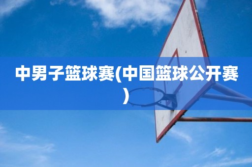 中男子篮球赛(中国篮球公开赛) 中男子篮球赛(中国篮球公开赛)
