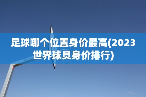 足球哪个位置身价最高(2023世界球员身价排行) 足球哪个位置身价最高(2023世界球员身价排行)
