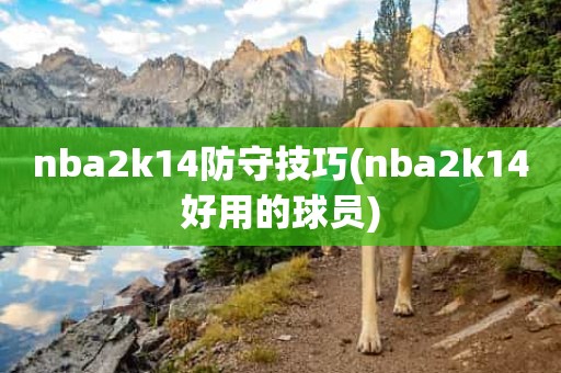 nba2k14防守技巧(nba2k14好用的球员) nba2k14防守技巧(nba2k14好用的球员)