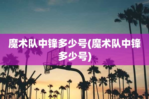 魔术队中锋多少号(魔术队中锋多少号) 魔术队中锋多少号(魔术队中锋多少号)
