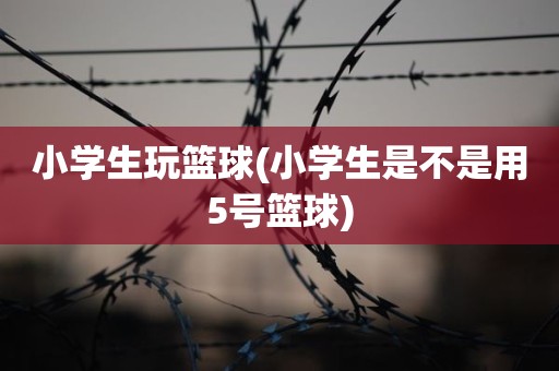 小学生玩篮球(小学生是不是用5号篮球) 小学生玩篮球(小学生是不是用5号篮球)