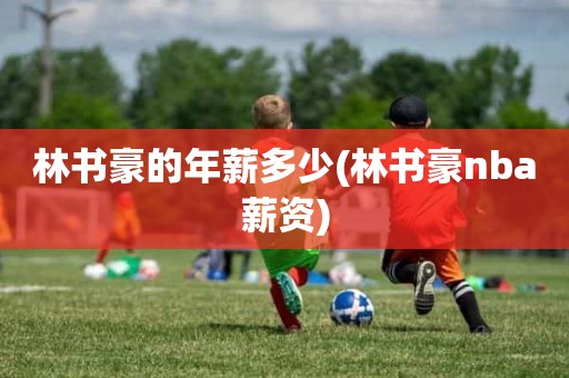 林书豪的年薪多少(林书豪nba薪资) 林书豪的年薪多少(林书豪nba薪资)