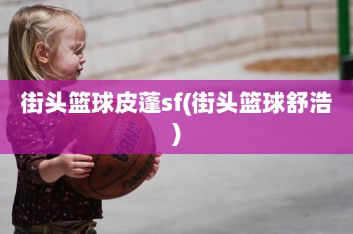 街头篮球皮蓬sf(街头篮球舒浩) 街头篮球皮蓬sf(街头篮球舒浩)