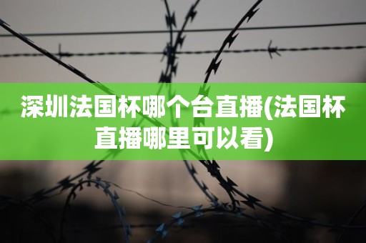 深圳法国杯哪个台直播(法国杯直播哪里可以看) 深圳法国杯哪个台直播(法国杯直播哪里可以看)