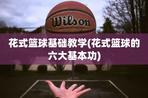 花式篮球基础教学(花式篮球的六大基本功) 花式篮球基础教学(花式篮球的六大基本功)