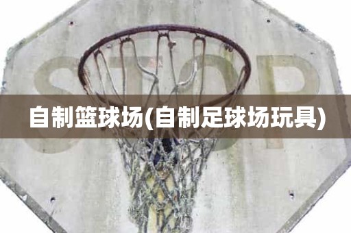 自制篮球场(自制足球场玩具) 自制篮球场(自制足球场玩具)
