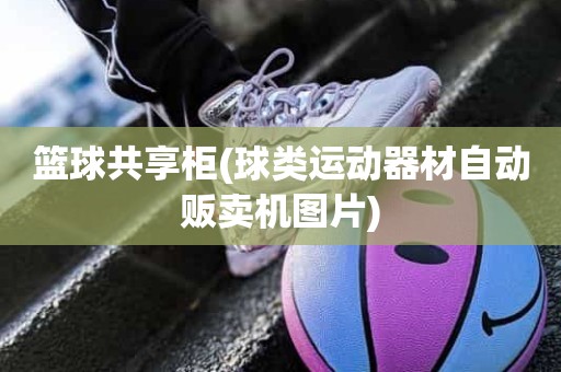 篮球共享柜(球类运动器材自动贩卖机图片) 篮球共享柜(球类运动器材自动贩卖机图片)