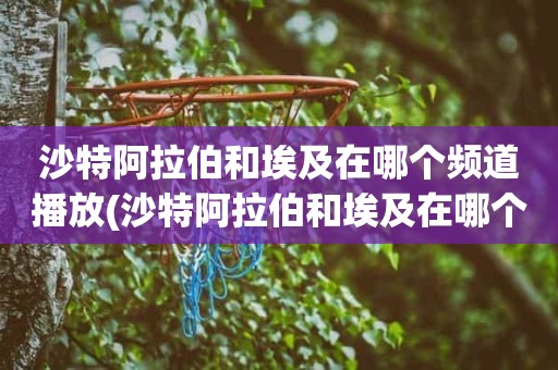 沙特阿拉伯和埃及在哪个频道播放(沙特阿拉伯和埃及在哪个频道播放) 沙特阿拉伯和埃及在哪个频道播放(沙特阿拉伯和埃及在哪个频道播放)