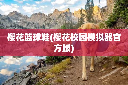 樱花篮球鞋(樱花校园模拟器官方版) 樱花篮球鞋(樱花校园模拟器官方版)