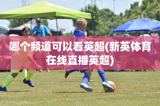 哪个频道可以看英超(新英体育在线直播英超) 哪个频道可以看英超(新英体育在线直播英超)