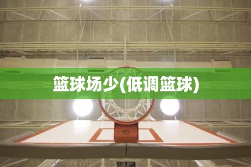 篮球场少(低调篮球) 篮球场少(低调篮球)