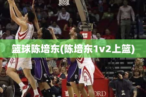 篮球陈培东(陈培东1v2上篮) 篮球陈培东(陈培东1v2上篮)