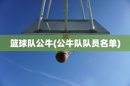 篮球队公牛(公牛队队员名单) 篮球队公牛(公牛队队员名单)